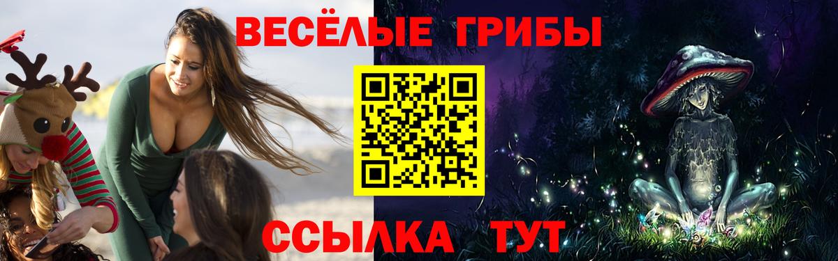 Нижнеудинск  наркота  Вход с VPN  Галлюциногенные грибы MAGIC MUSHROOMS 